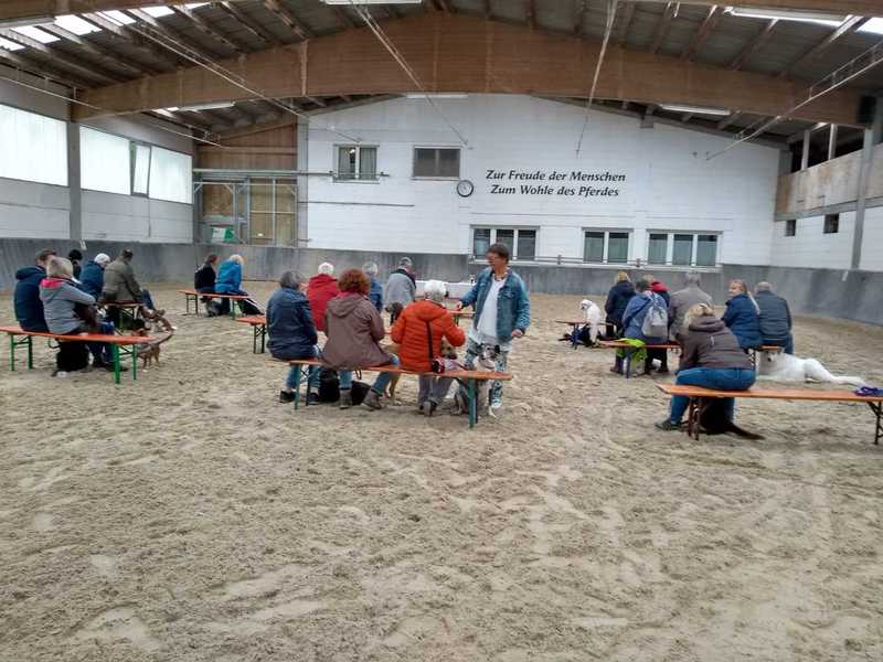 Hundeschule Wiesler Kurzhaarcolliezucht vom Isteiner Klotz Allerlei